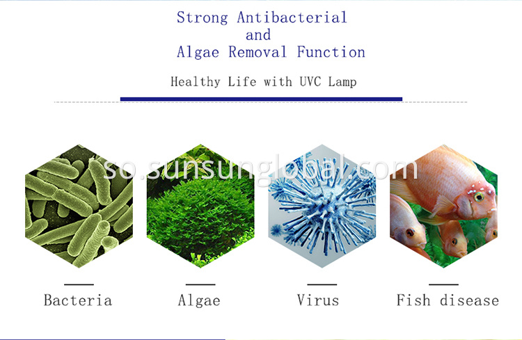 Tayo Wanaagsan oo Hufan Aquarium Uv Sterilizer